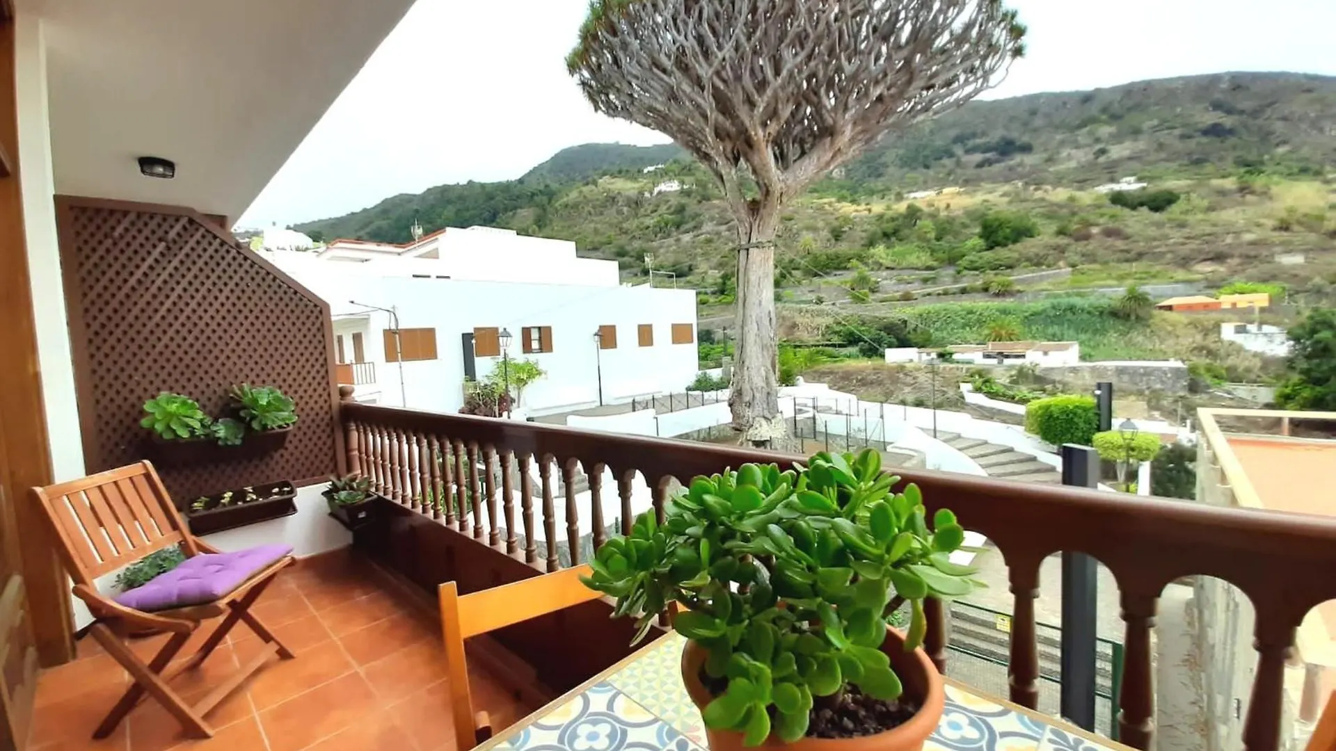 Apartamento Drago Chico Icod De Los Vinos